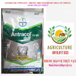 ANTRACOL 70WP