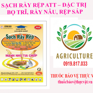 SACH RAY REP 6