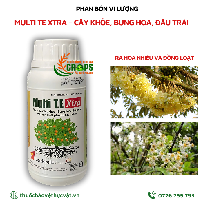 MULTI TE XTRA